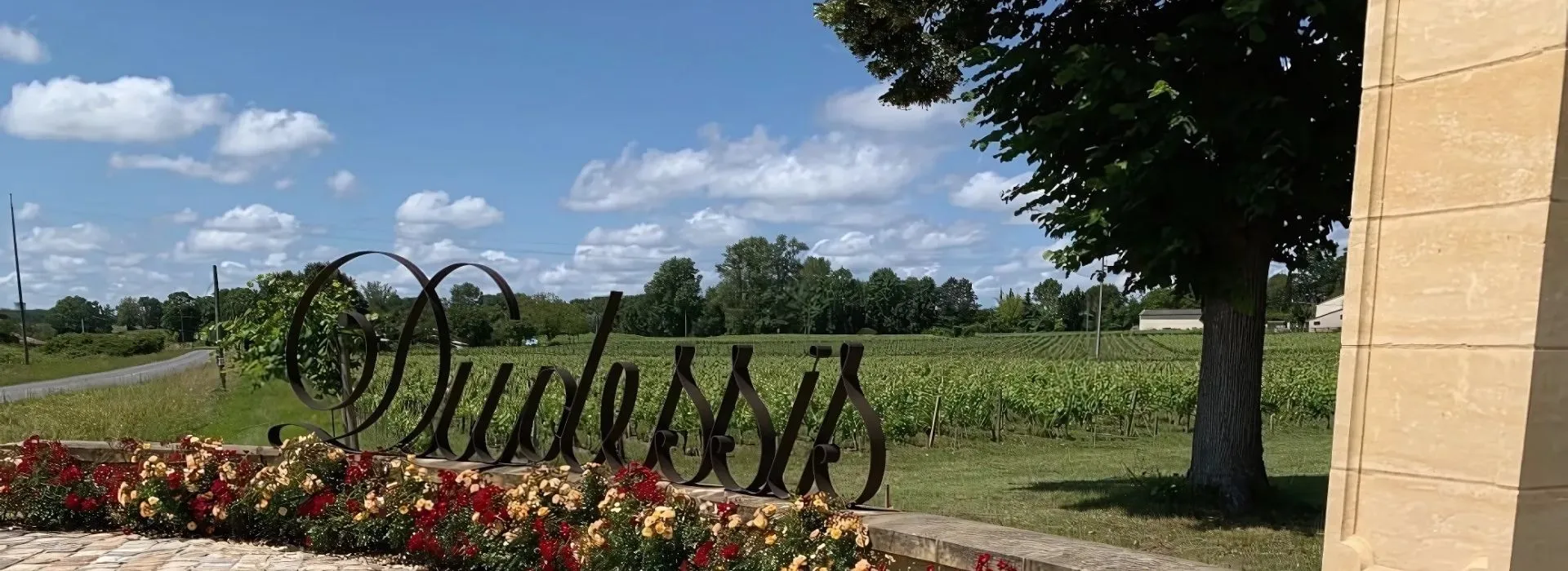 Château Duplessis Moulis-en-Médoc : Terroir, Vins et Œnotourisme à découvrir
